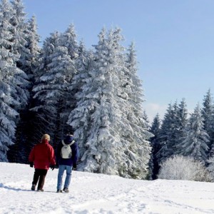 Willingen Skiurlaub