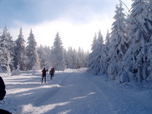 Oberhof Langlaufpiste