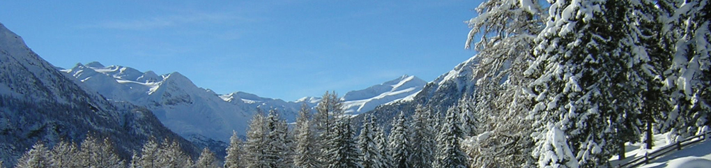 Vinschgau Skigebiet